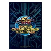 80 Fundas WCQ 2010