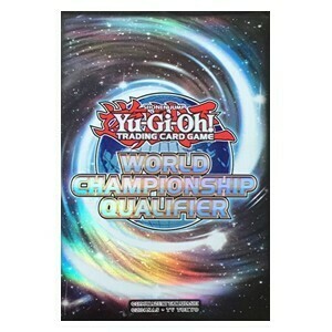 80 Fundas WCQ 2016