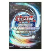 80 Fundas WCQ 2016