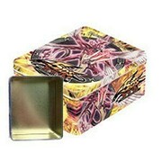 Collector's Tins 2010: Empty Majestic Red Dragon Tin