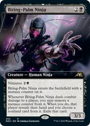 Ninja dal Palmo Mordace