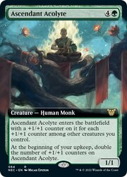 Accolito Ascendente