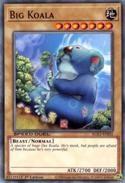 Grande Koala