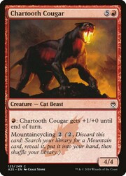 Coguaro Dentebrace