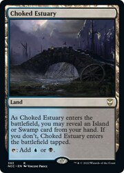 Estuario Soffocato