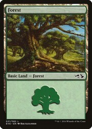 Foresta