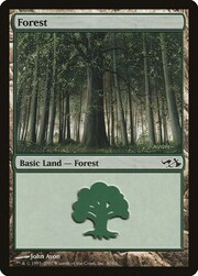 Foresta