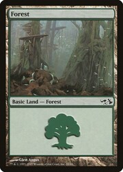 Foresta