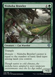 Nishoba Lottatore