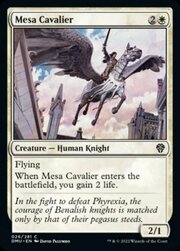 Cavaliera della Mesa