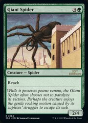 Ragno Gigante