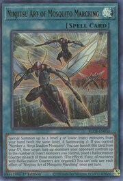Arte Ninjitsu della Marcia delle Zanzare