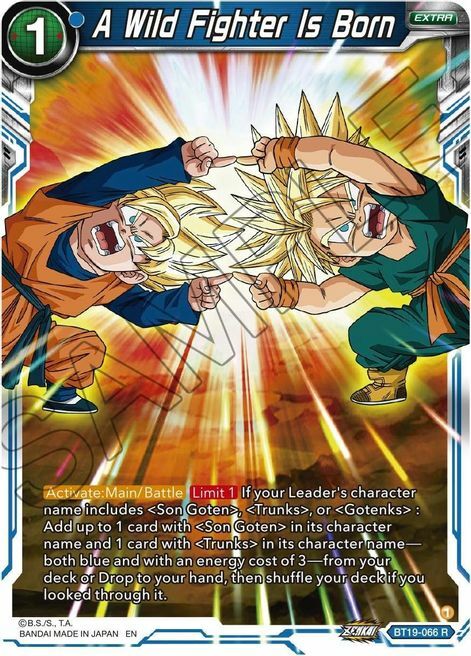 A Wild Fighter Is Born Card Front
