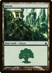 Foresta