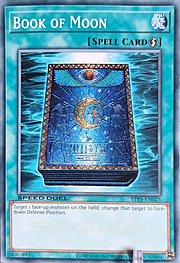 Libro della Luna