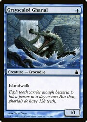 Gharial Grigioscaglia