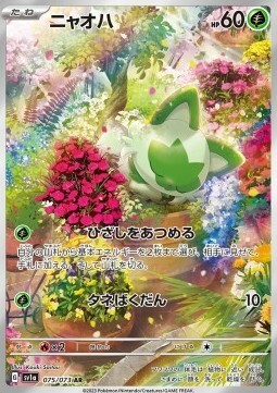 Sprigatito Card Front