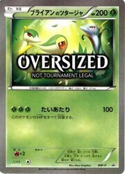 _____'s Snivy