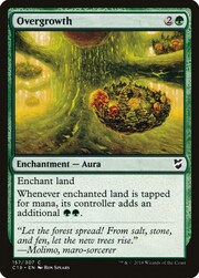 Vegetazione Rigogliosa