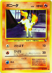 Ponyta