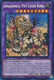 Amazoness Pet Liger King