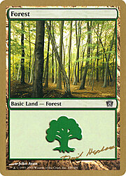 Foresta