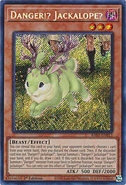 Pericolo!? Jackalope?
