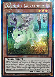 Pericolo!? Jackalope?