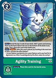 Agility Training