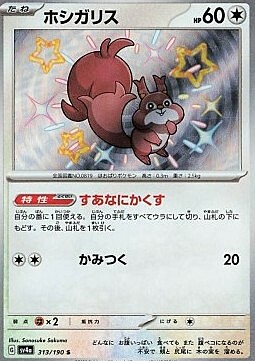 Skwovet Card Front