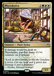 Phytoidra