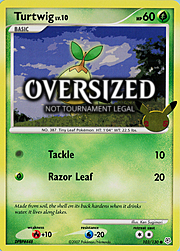 Turtwig Lv.10