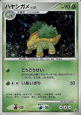 Grotle Lv.21 Card Front