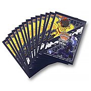 Fundas EUIC 2024 Pokémon Center