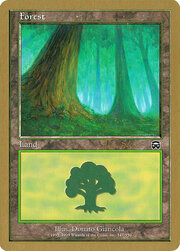 Foresta