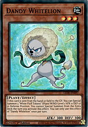 Dandy Whitelion