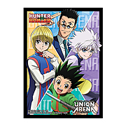 HUNTER X HUNTER 60 Sleeves