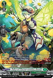 Fairy of Flower-nectar, Coutir