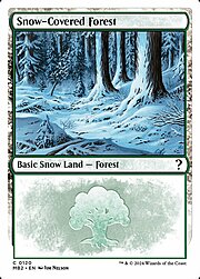 Foresta Innevata