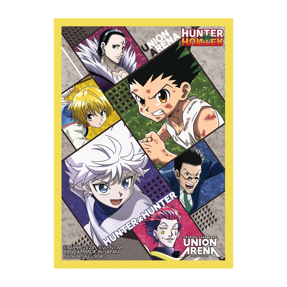 HUNTER X HUNTER 60 Sleeves