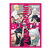 BLEACH 60 Sleeves
