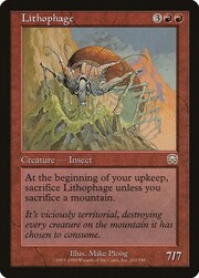 Lithophage