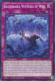 Glicine dei Guai Ragnaraika