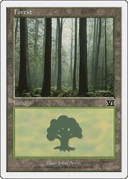 Foresta