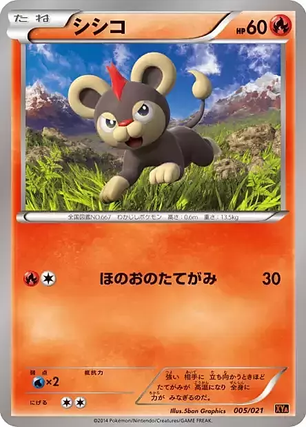 Litleo Card Front