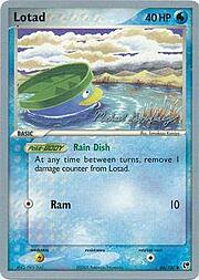 Lotad