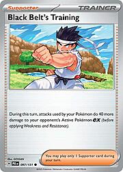 Black Belt's Training