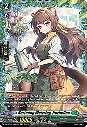 Nurturing Watering, Itachelina