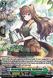 Nurturing Watering, Itachelina