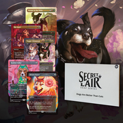 Secret Lair Drop Series: Chaos Vault: Dogs Are Better Than Cats